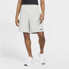 Vīriešu sporta šorti Nike Dri-FIT M DA5556-063, pelēki цена и информация | Мужская спортивная одежда | 220.lv