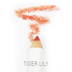 Органический карандаш для губ PHB Ethical Beauty, оттенок Tiger Lily цена и информация | Помады, бальзамы, блеск для губ | 220.lv