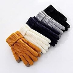 Зимние перчатки C108011-8, темно-синие цена и информация | Женские перчатки | 220.lv