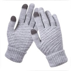 Зимние перчатки C108011-4, серые цена и информация | Женские перчатки | 220.lv