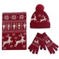 Ziemas komplekts (cimdi, šalle, cepure) M108001, sarkans цена и информация | Sieviešu cepures | 220.lv