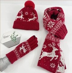 Зимний комплект (перчатки, шарф, шапка) М108001, красный цена и информация | Женские шапки | 220.lv