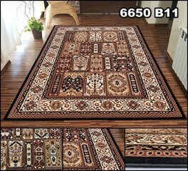 Shiraz paklājs, 200x300 cm cena un informācija | Paklāji | 220.lv