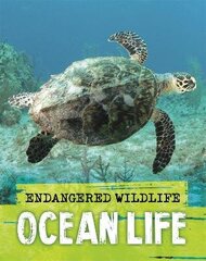Endangered Wildlife: Rescuing Ocean Life цена и информация | Книги для подростков  | 220.lv