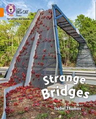 Strange Bridges: Band 06/Orange цена и информация | Книги для подростков и молодежи | 220.lv