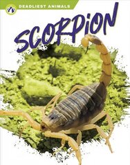 Deadliest Animals: Scorpion cena un informācija | Grāmatas pusaudžiem un jauniešiem | 220.lv