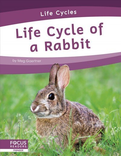 Life Cycles: Life Cycle of a Rabbit cena un informācija | Grāmatas pusaudžiem un jauniešiem | 220.lv