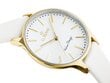 Sieviešu pulkstenis Gino Rossi 10317A8-3C2 zg811b cena un informācija | Sieviešu pulksteņi | 220.lv