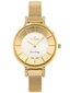 Sieviešu pulkstenis Gino Rossi 10571 zg726b cena un informācija | Sieviešu pulksteņi | 220.lv
