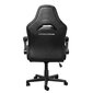Ergonomisks krēsls Trust Gaming GXT 703 Riye, melns cena un informācija | Biroja krēsli | 220.lv