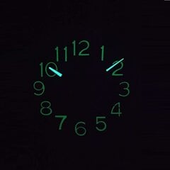 Q&Q Настенные кварцевые часы 0310H503Y цена и информация | Часы | 220.lv