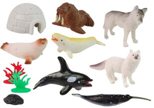 Polāro dzīvnieku figūriņu komplekts LeanToys, 12 gab. cena un informācija | Rotaļlietas zēniem | 220.lv