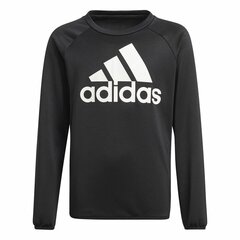 Джемпер Adidas для мальчиков, 164 см, черный цвет цена и информация | Свитеры, жилетки, пиджаки для мальчиков | 220.lv