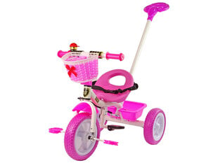 Trīsriteņu bērnu veliosipēds Lean Toys PRO100, rozā цена и информация | Трехколесные велосипеды | 220.lv