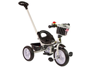Trīsriteņu bērnu veliosipēds Lean Toys PRO100, melns цена и информация | Трехколесные велосипеды | 220.lv