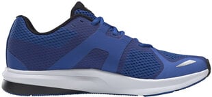 Reebok Обувь Endless Road Blue EH2657/10- цена и информация | Кроссовки для мужчин | 220.lv