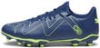 Puma Apavi Future Play Fg/Ag Persian Blue Green 107377 03 107377 03/8.5 cena un informācija | Sporta apavi vīriešiem | 220.lv