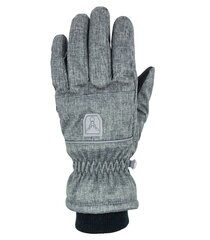 Детские лыжные перчатки Hofler 53643 01, серебряные/черные 53643*01-XL цена и информация | Шапки, перчатки, шарфы для мальчиков | 220.lv