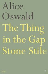 Thing in the Gap Stone Stile Main цена и информация | Поэзия | 220.lv