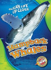 Humpback Whales цена и информация | Книги для подростков и молодежи | 220.lv