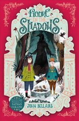 The Figure in the Shadows - The House With a Clock in Its Walls 2 цена и информация | Книги для подростков и молодежи | 220.lv