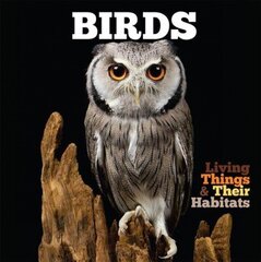 Birds цена и информация | Книги для подростков и молодежи | 220.lv