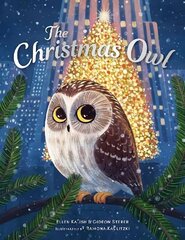 Christmas Owl цена и информация | Книги для малышей | 220.lv