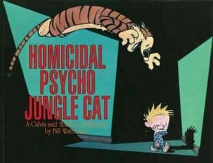 Homicidal Psycho Jungle Cat: Calvin & Hobbes Series: Book Thirteen cena un informācija | Fantāzija, fantastikas grāmatas | 220.lv