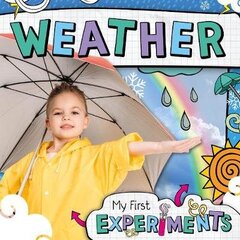 Weather цена и информация | Книги для подростков и молодежи | 220.lv