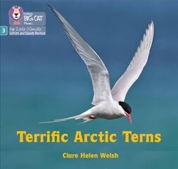 Terrific Arctic Terns: Phase 3 Set 2 cena un informācija | Grāmatas pusaudžiem un jauniešiem | 220.lv