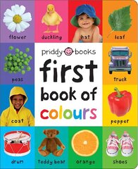 First Book of Colours цена и информация | Книги для самых маленьких | 220.lv