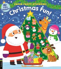 Christmas Fun! цена и информация | Книги для малышей | 220.lv