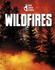 Wildfires цена и информация | Книги для подростков  | 220.lv