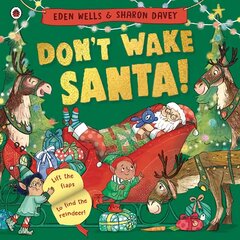 Don't Wake Santa: A lift-the-flap Christmas book цена и информация | Книги для самых маленьких | 220.lv