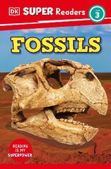 DK Super Readers Level 3 Fossils цена и информация | Книги для подростков и молодежи | 220.lv