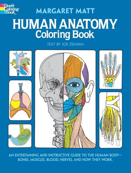 Human Anatomy cena un informācija | Grāmatas pusaudžiem un jauniešiem | 220.lv