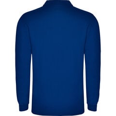 Viriešu polo krekls Carpe zils cena un informācija | Vīriešu T-krekli | 220.lv