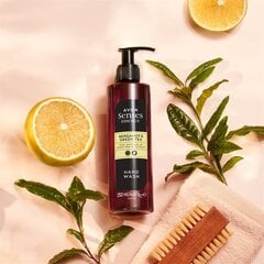 Жидкое мыло для рук Essence Bergamot & Green Tea, 250мл, Avon цена и информация | Мыло | 220.lv