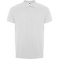 T-krekls vīriešiem Rover, balts cena un informācija | Vīriešu T-krekli | 220.lv