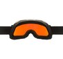 Slēpošanas brilles Alpina Blackcomb Q-Lite, melna/zaļa цена и информация | Slēpošanas brilles | 220.lv
