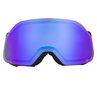 Slēpošanas brilles Alpina Blackcomb Q-Lite, melna/zaļa цена и информация | Slēpošanas brilles | 220.lv
