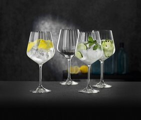 Spiegelau & Nachtmann, 4-часовой Gin & Tonic Set, 640 мл, высота: 22,2 см, джин и тоник, 102892 цена и информация | Стаканы, фужеры, кувшины | 220.lv