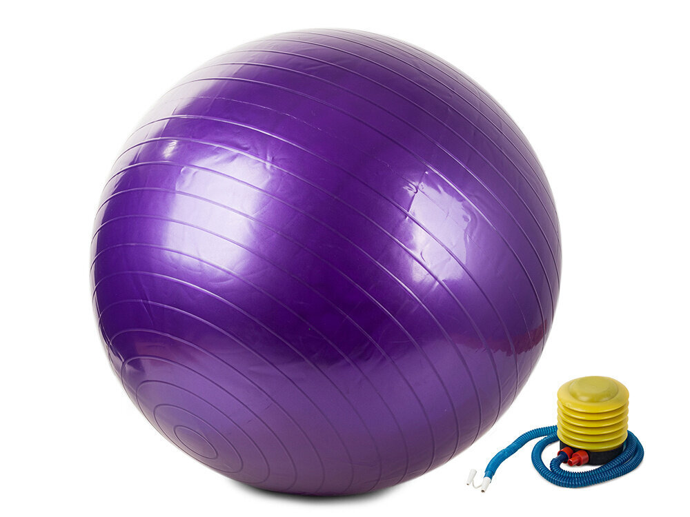 Vingrošanas bumba ar pumpi, 65cm, Violeta цена и информация | Vingrošanas bumbas | 220.lv
