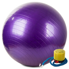 Гимнастический мяч с насосом, 65 см, фиолетовый цена и информация | Гимнастические мячи | 220.lv