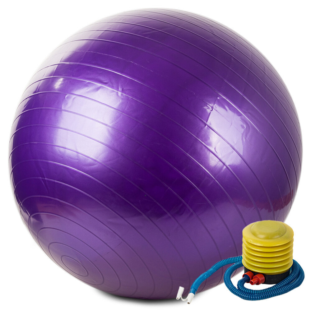 Vingrošanas bumba ar pumpi, 65cm, Violeta цена и информация | Vingrošanas bumbas | 220.lv