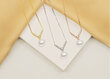 Apzeltīta kaklarota sievietēm Brilio Silver NCL81Y цена и информация | Kaklarotas | 220.lv