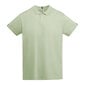 Polo krekls sievietēm Tyler, zaļš cena un informācija | T-krekli sievietēm | 220.lv