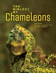 Biology of Chameleons cena un informācija | Ekonomikas grāmatas | 220.lv