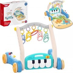 Bērnu ratiņi ar paklājiņu 2in1 Woopie cena un informācija | Rotaļlietas zīdaiņiem | 220.lv