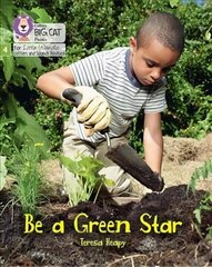 Be a Green Star: Phase 4 Set 2 Stretch and Challenge цена и информация | Книги для подростков и молодежи | 220.lv